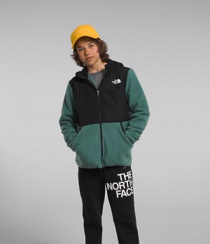 Μπουφάν Fleece για αγορια The North Face Forrest Full-Zip Κουκουλοφόρος πρασινο | ATHENS ZNJAGLT