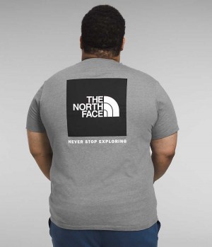 Μπλουζακι ανδρικα The North Face Big κοντο Sleeve Box NSE γκρι | GR ICXBRTJ