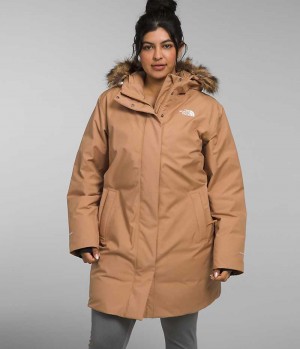 Παρκα γυναικεια The North Face Plus Arctic καφε | GREECE GTYBQEV