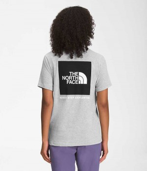 Μπλουζακι γυναικεια The North Face κοντο Sleeve Box NSE ανοιχτο γκρι | GR AFKERDU