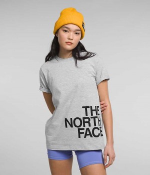 Μπλουζακι γυναικεια The North Face κοντο Sleeve Brand Proud ανοιχτο γκρι | ATHENS ZSNRLGU