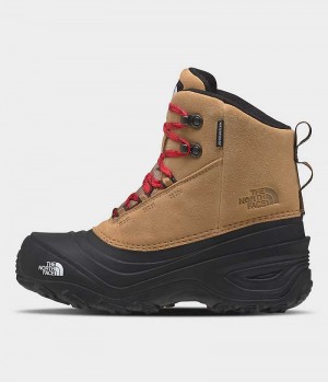 Μποτακια Χειμωνιατικα για αγορια The North Face Chilkat V δαντελα αδιαβροχα καφε | ATHENS SFIUOAM