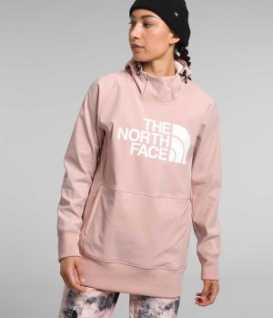 Φουτερ με Κουκουλα γυναικεια The North Face Tekno Pullover ροζ | GREECE RVKQENG