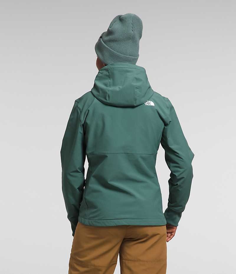 Softshell μπουφαν γυναικεια The North Face Shelbe Raschel Hoodie πρασινο | ATHENS ZSFVHTN