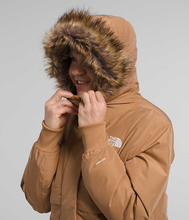 Μπουφαν Bomber γυναικεια The North Face Arctic καφε | GREECE SVQYPUF