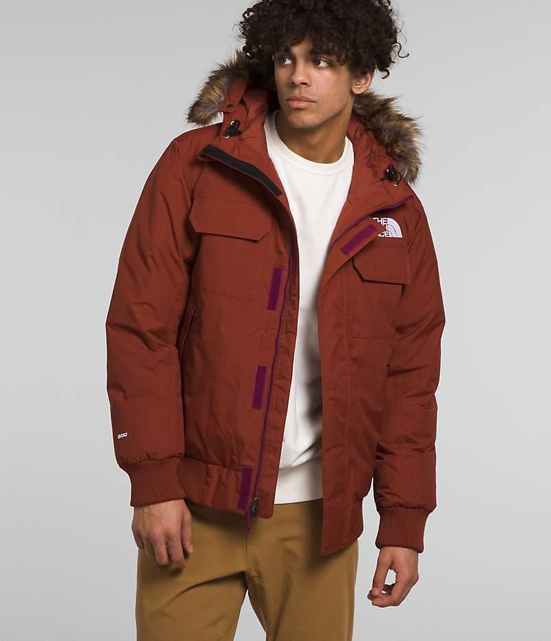 Μπουφαν Bomber ανδρικα The North Face McMurdo καφε | GR OTQKVGI