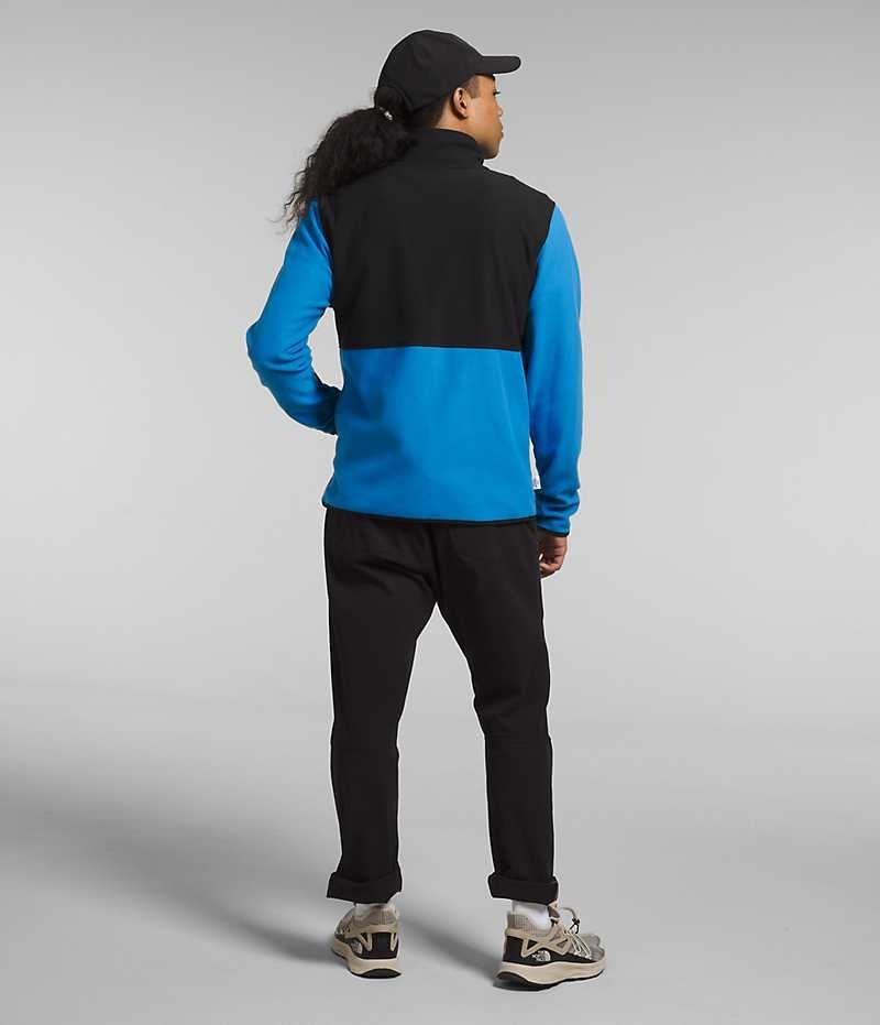 Μπουφάν Fleece ανδρικα The North Face Alpine Polartec® 100 μπλε μαυρα | GR PDSUEZQ