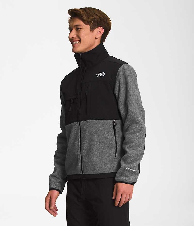 Μπουφάν Fleece ανδρικα The North Face Denali γκρι | ATHENS CUWVMGJ