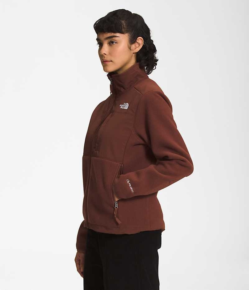 Μπουφάν Fleece γυναικεια The North Face Denali καφε | GREECE LMPIVXA