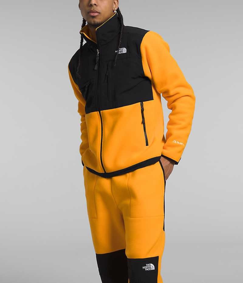 Μπουφάν Fleece ανδρικα The North Face Denali χρυσο χρωμα μαυρα | GREECE NJQKWTD