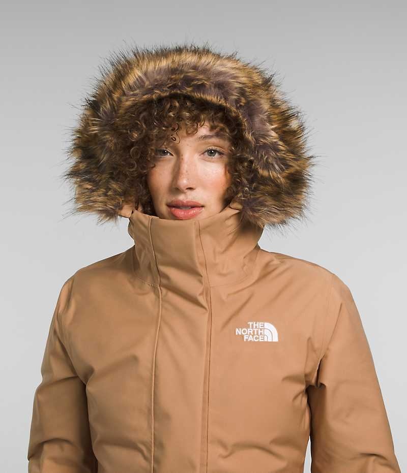 Παρκα γυναικεια The North Face Arctic καφε | ATHENS BMLWIXU