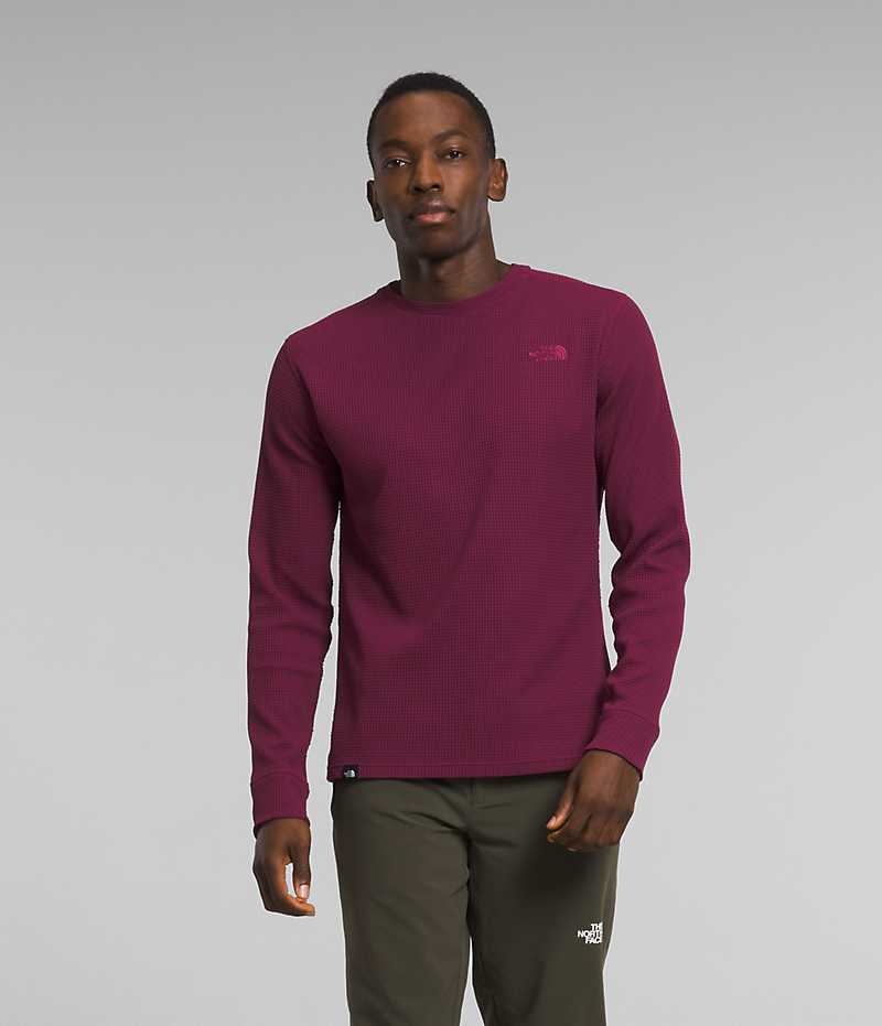 Φουτερ ανδρικα The North Face Canyon Fog Thermal Long Sleeve φουξια | GR URBZFJP