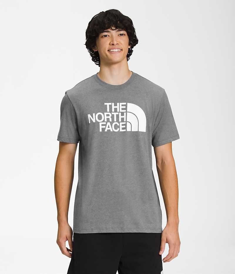 Μπλουζακι ανδρικα The North Face κοντο Sleeve Half Dome γκρι | GREECE FNYCHBM