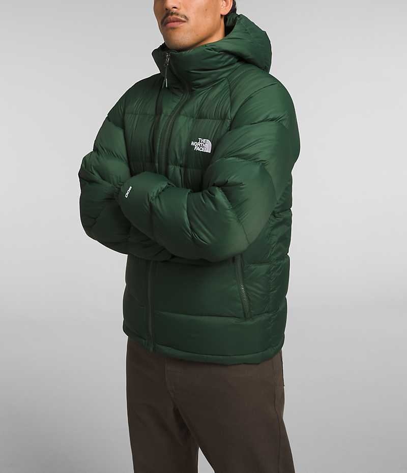 Μπουφαν Πουπουλενια ανδρικα The North Face Hydrenalite™ Hoodie πρασινο | GREECE GQTZOWH