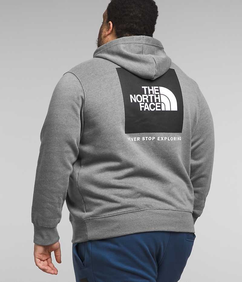 Φουτερ με Κουκουλα ανδρικα The North Face Big Box NSE Pullover γκρι | GREECE CSQJTEG