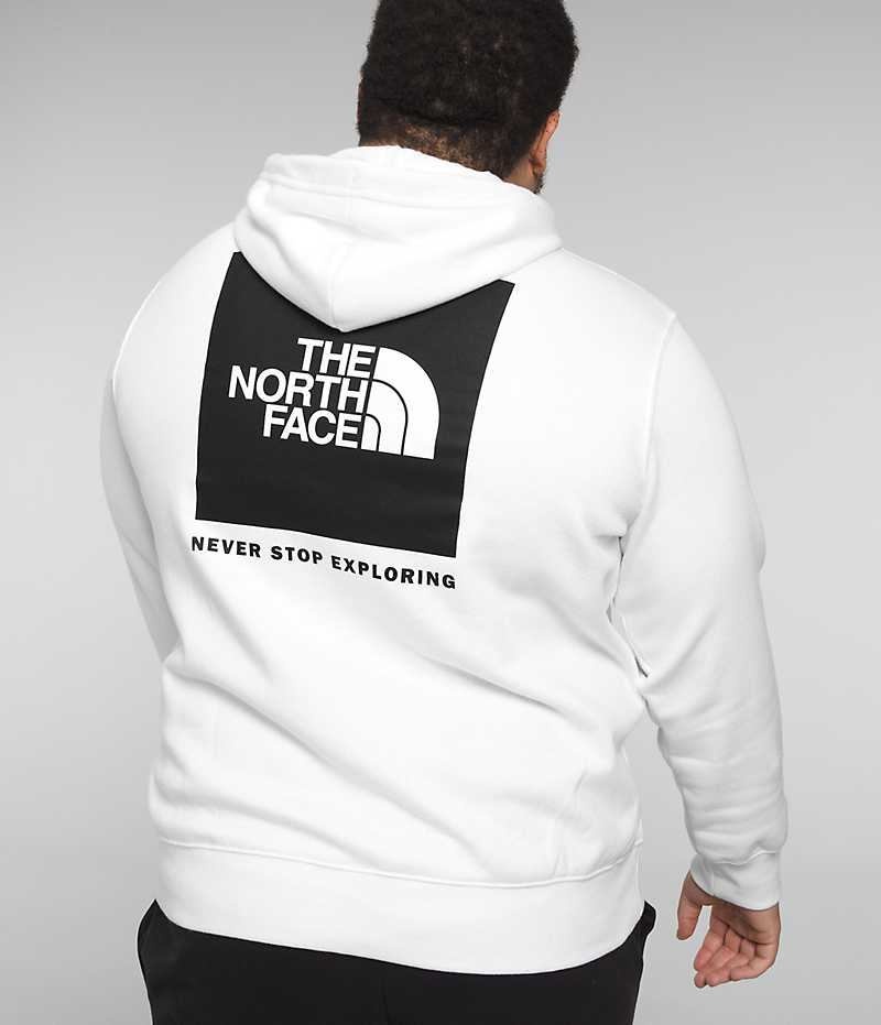 Φουτερ με Κουκουλα ανδρικα The North Face Big Box NSE Pullover ασπρα | GR CAIDJBW