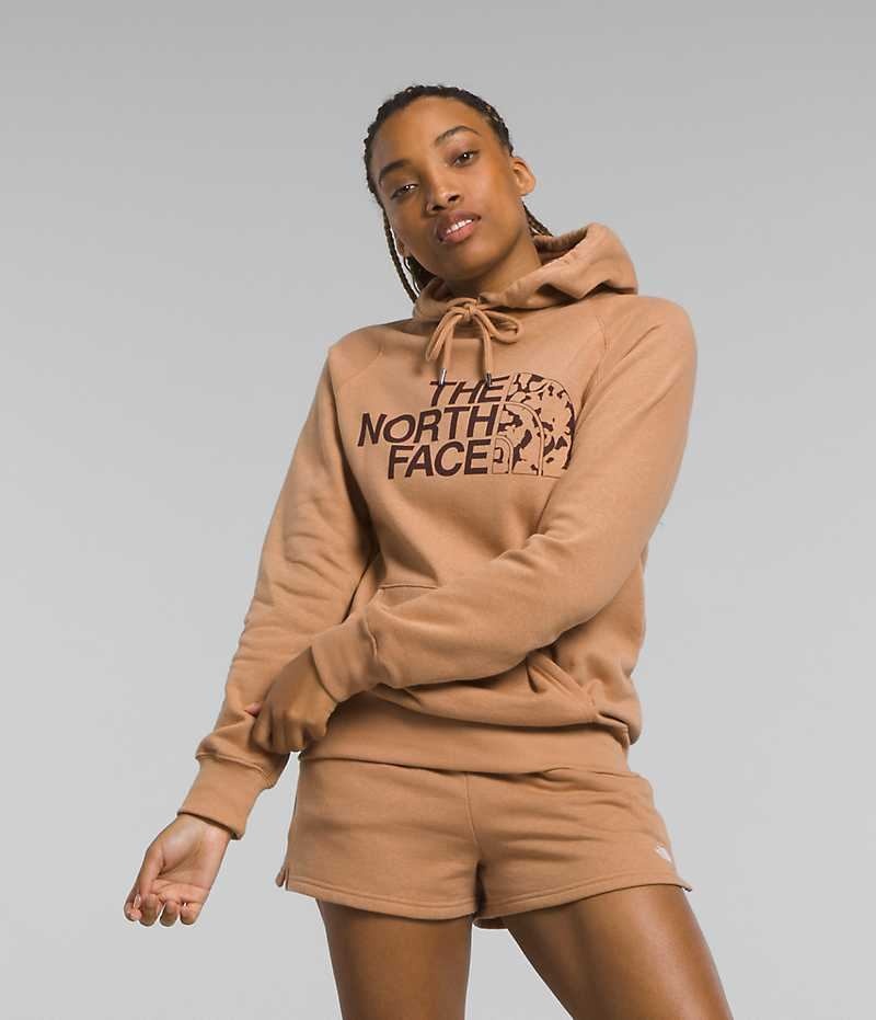 Φουτερ με Κουκουλα γυναικεια The North Face Half Dome Pullover καφε | GREECE VHKBYCF