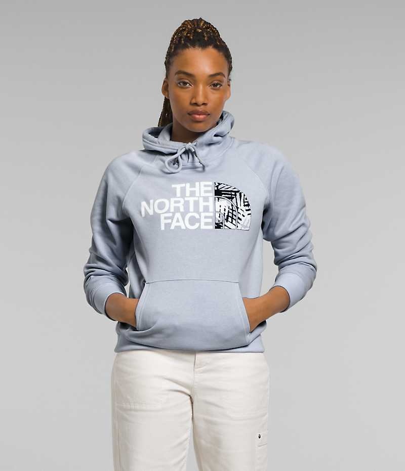 Φουτερ με Κουκουλα γυναικεια The North Face Half Dome Pullover μπλε | GR ZVDLHTU