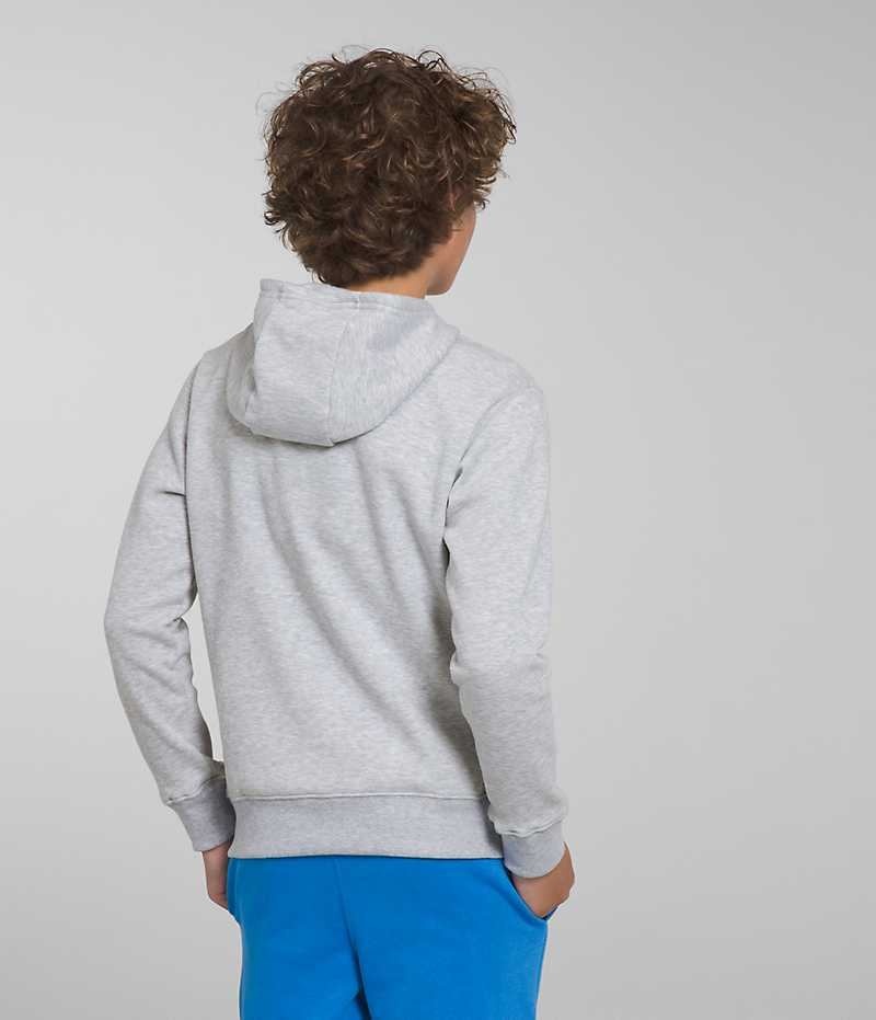 Φουτερ με Κουκουλα για αγορια The North Face Camp Fleece Pullover ανοιχτο γκρι | GR EIDCQGO